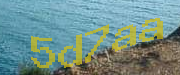 Sorry, this is a captcha