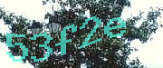 Sorry, this is a captcha