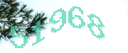 Sorry, this is a captcha