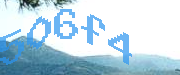 Sorry, this is a captcha