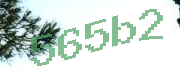 Sorry, this is a captcha