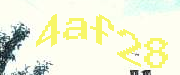Sorry, this is a captcha