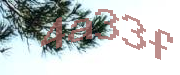 Sorry, this is a captcha