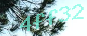 Sorry, this is a captcha