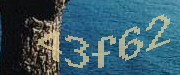 Sorry, this is a captcha