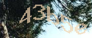 Sorry, this is a captcha