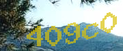 Sorry, this is a captcha