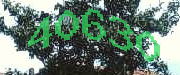 Sorry, this is a captcha