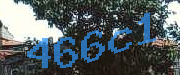 Sorry, this is a captcha