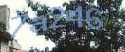Sorry, this is a captcha