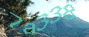 Sorry, this is a captcha
