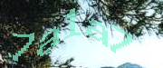 Sorry, this is a captcha