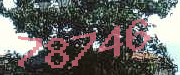 Sorry, this is a captcha