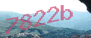 Sorry, this is a captcha