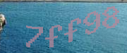 Sorry, this is a captcha