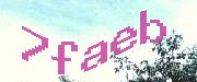 Sorry, this is a captcha
