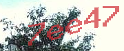 Sorry, this is a captcha
