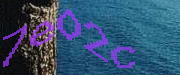 Sorry, this is a captcha