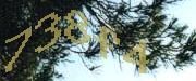 Sorry, this is a captcha