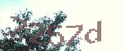 Sorry, this is a captcha