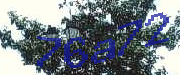 Sorry, this is a captcha
