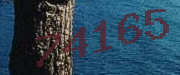 Sorry, this is a captcha