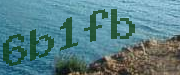 Sorry, this is a captcha