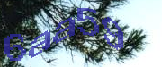 Sorry, this is a captcha