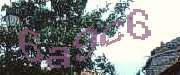 Sorry, this is a captcha
