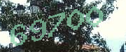 Sorry, this is a captcha