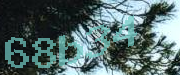 Sorry, this is a captcha