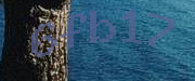 Sorry, this is a captcha