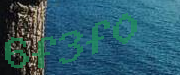 Sorry, this is a captcha