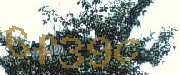 Sorry, this is a captcha