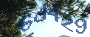 Sorry, this is a captcha