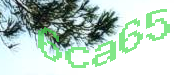 Sorry, this is a captcha