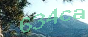 Sorry, this is a captcha