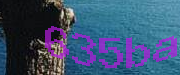 Sorry, this is a captcha