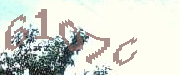Sorry, this is a captcha