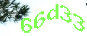 Sorry, this is a captcha