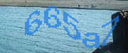 Sorry, this is a captcha