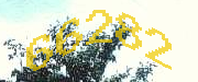 Sorry, this is a captcha