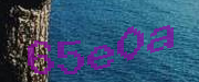 Sorry, this is a captcha