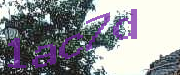 Sorry, this is a captcha