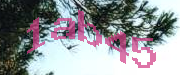 Sorry, this is a captcha