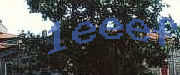 Sorry, this is a captcha