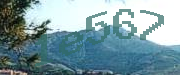 Sorry, this is a captcha