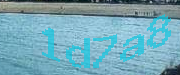 Sorry, this is a captcha