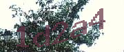Sorry, this is a captcha