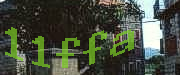 Sorry, this is a captcha